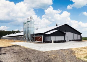 Nowoczesne hale dla rolnictwa