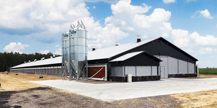 Nowoczesne hale dla rolnictwa